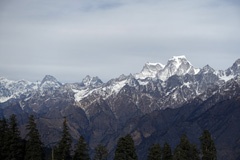 DSC00518a.jpg
